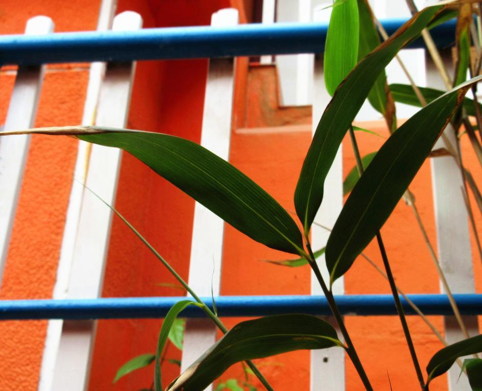 25°C Four Season Youth Hostel Κινκντάο Εξωτερικό φωτογραφία